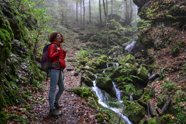 La Wolfsschlucht et le parc naturel de Thal