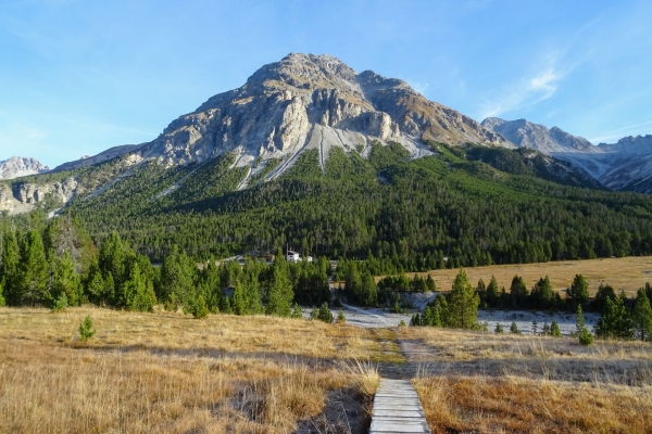 Sur le Munt la Schera dans le Parc national suisse