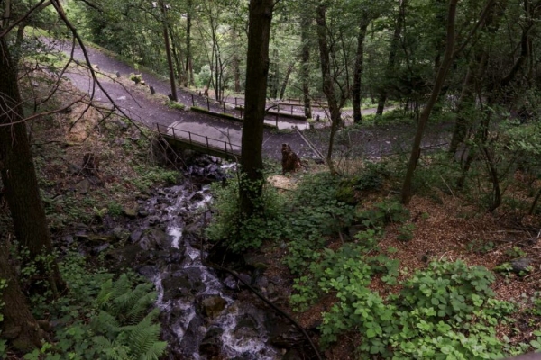 R21: Vernayaz - les Marécottes - le Trétien - le Trient