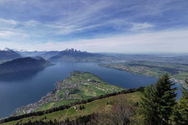 Viele Wege führen über die Rigi