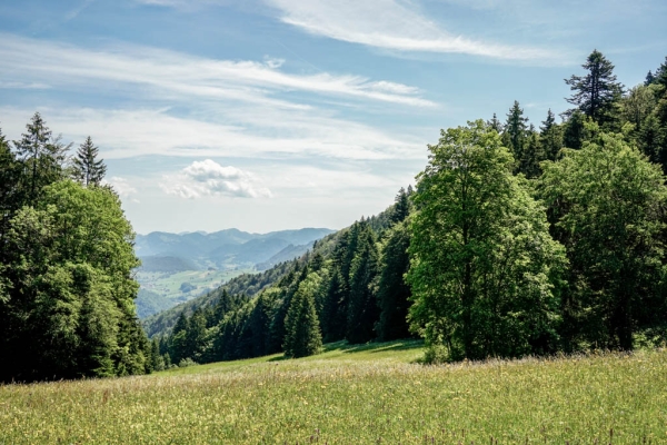 Über mehrere Jurafalten nach Moutier