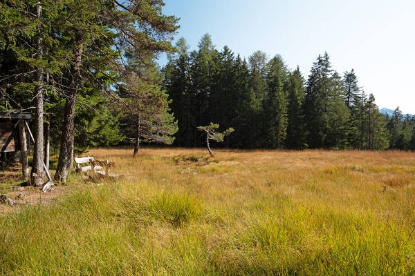 De Calanca à Mesolcina