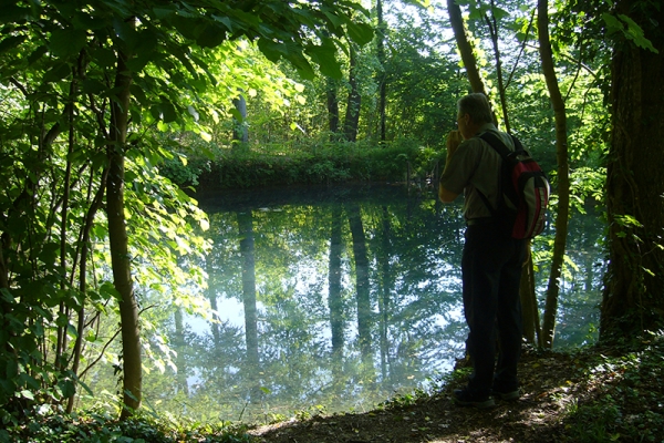 Kürbisrekord in Pfungen