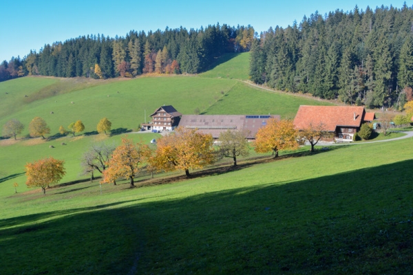 Herbstwanderung über die Muetegg 