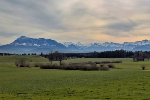 Die Alpen zum Greifen nah LU