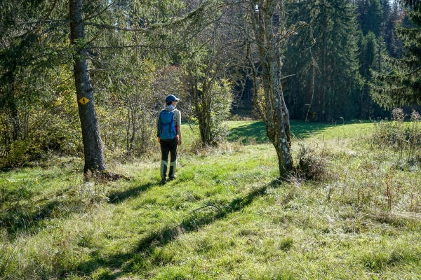 Durch die vielfältigen östlichen Freiberge