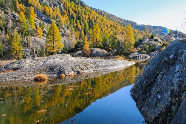 Werden und Vergehen im Aletsch VS