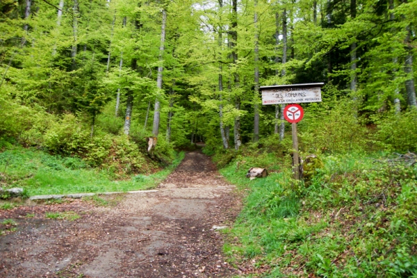 Durch Wälder und Weiden