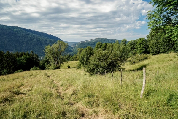 Über mehrere Jurafalten nach Moutier