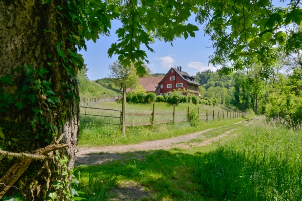 Unterwegs im Fürstenland II