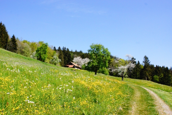 Von Dorf zu Dorf im ländlichen Luzern