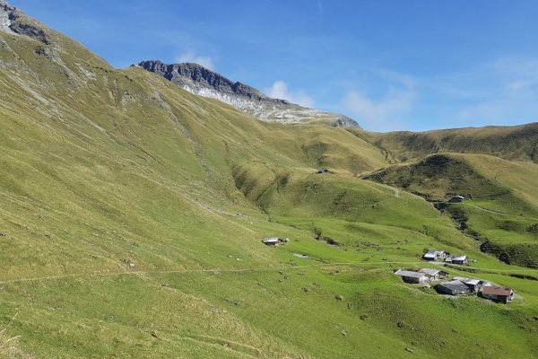 Gipfelerlebnis im Diemtigtal