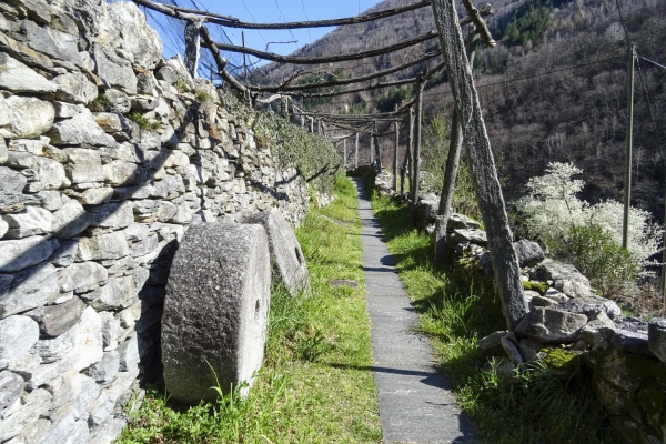 Sur les pentes ensoleillées des Centovalli