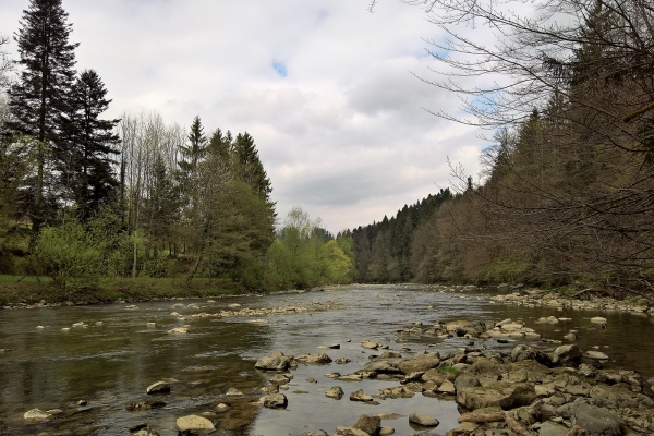 Von St. Gallen nach Bernhardzell