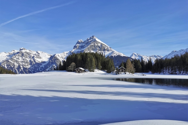 Schneeschuhtour hoch über dem Urner Reusstal