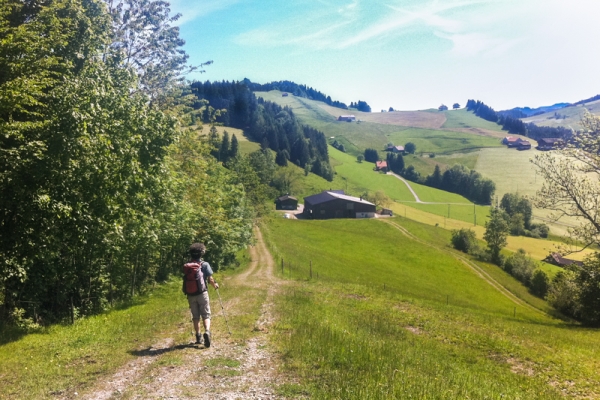 Von St. Peterzell nach Waldstatt