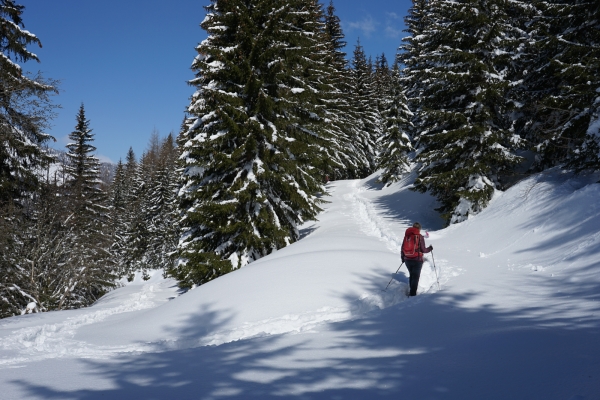 Sonniger Col des Mosses