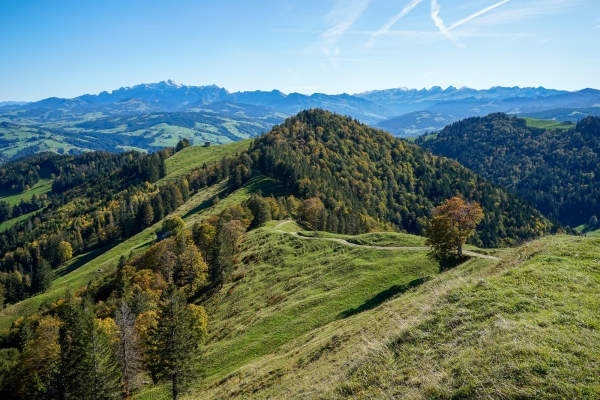 In den St. Galler Ausläufern des Tössberglandes