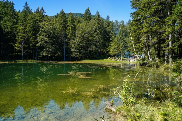 Temps forts sur les contreforts de l’Alpstein