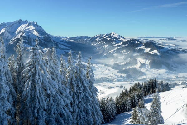 Au sommet du Fähnerenspitz