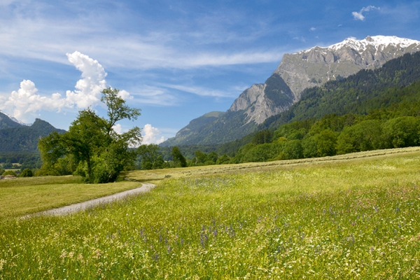 Viticulture dans les Grisons