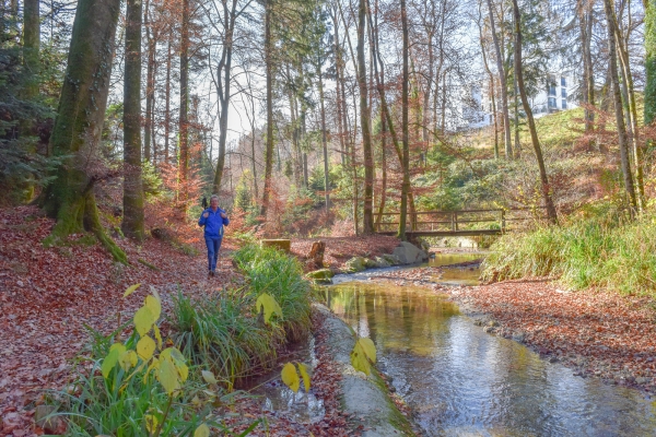 Im Jorat-Wald über Lausanne