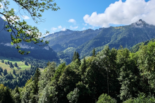 Vers l’alpage de L’Urqui (FR)