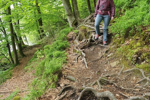 Le long du lac jusqu'à la Hohle Gasse