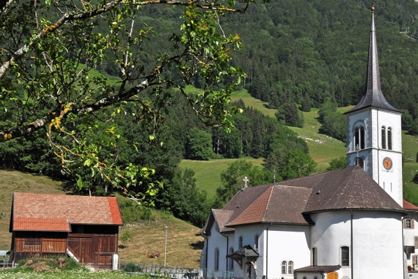 An den Hängen des Moléson