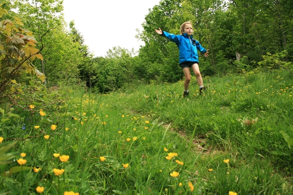 Unterwegs im Räuberwald