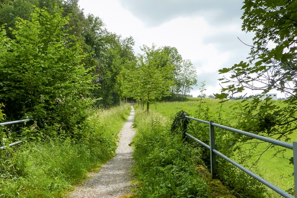 Sur les hauteurs du lac de Zurich