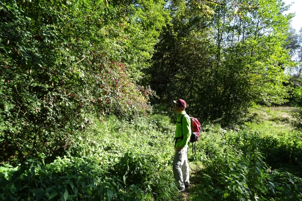 Beschauliche Landschaften im Mittelland