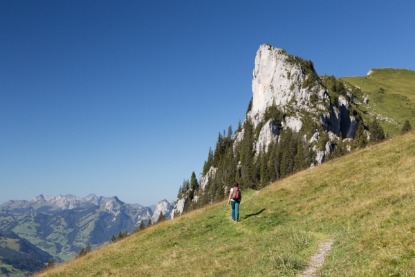 Vue panoramique depuis le Stockhorn