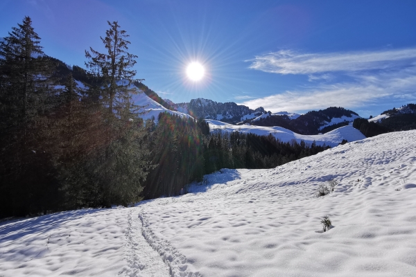 Rundtour auf Schneeschuhen im Greyerzerland