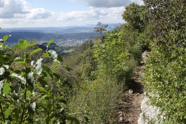 Sur la crête du Lägern