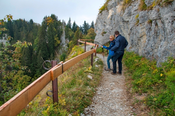 Une arête face au Léman