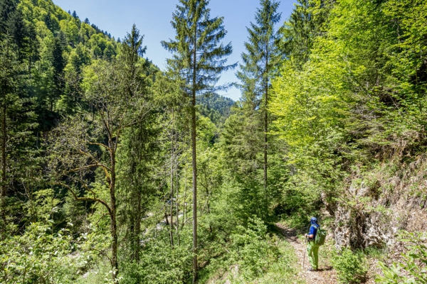 Übers Schnebelhorn und den Dägelschberg