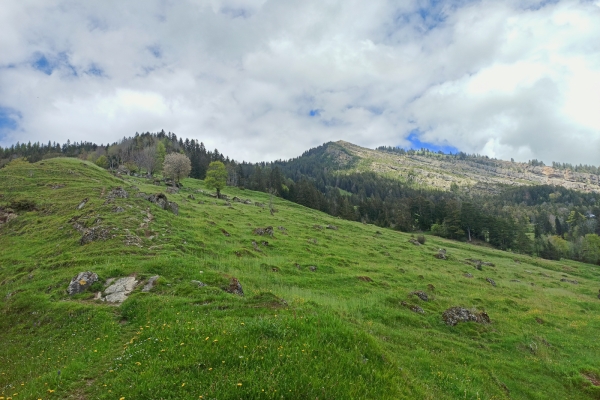 Auf und ab im Goldauer Bergsturz