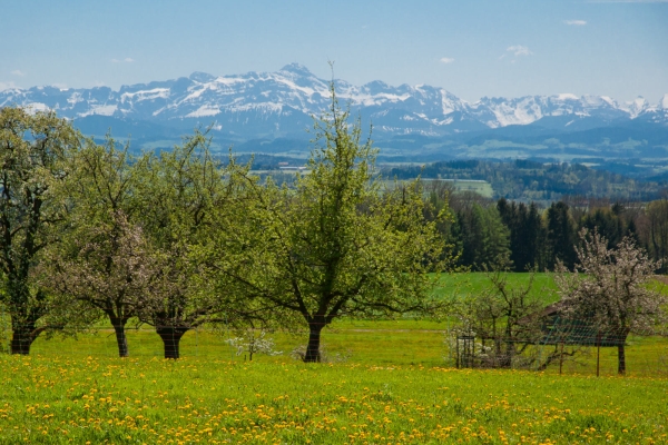 Frühling auf dem Seerücken