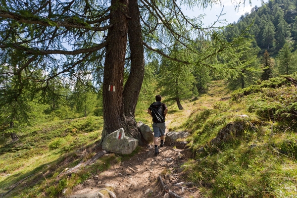 Les Alpes du Val Bedretto