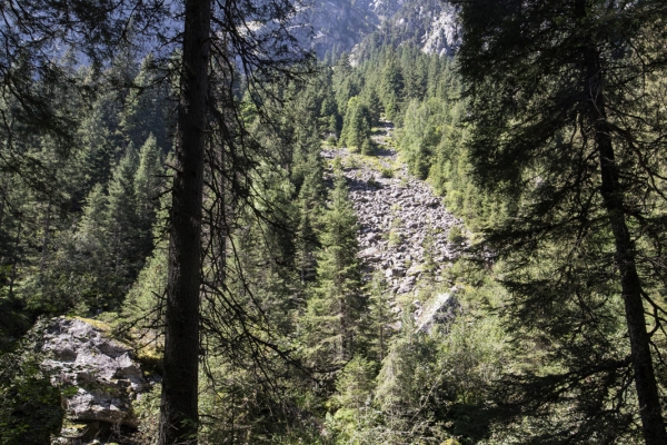 Bei der Königin der Alpen