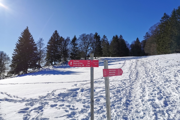 Pâturages blancs dans le Jura bernois