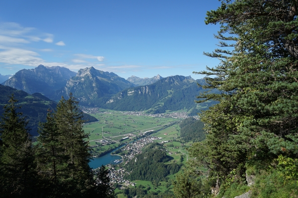 Vue sur la plaine de la Linth