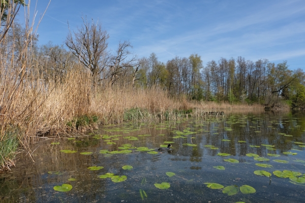 Zum Burgäschisee im Wasseramt