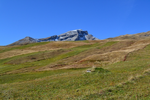 Aussichtsreicher Schamserberg im Naturpark Beverin