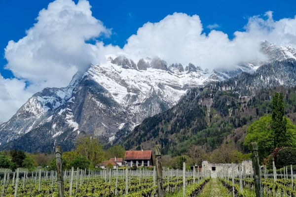 Vignes et châteaux dans la Seigneurie grisonne