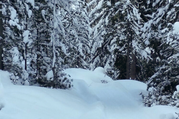 Verschneite Suone in Grächen