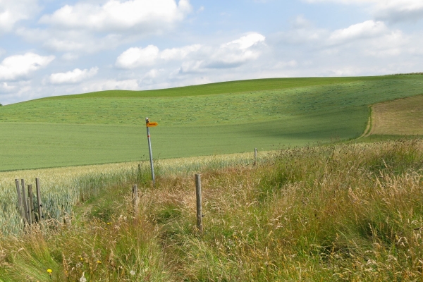 Von Schwarzenburg nach Mittelhäusern