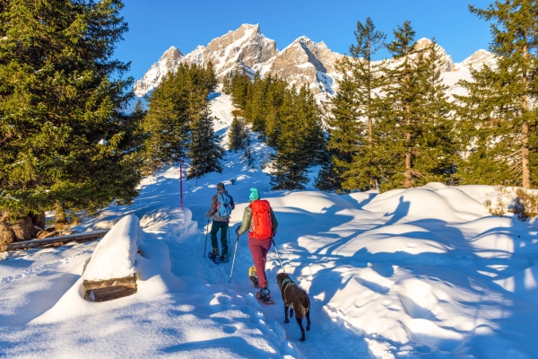 Joies de l’hiver uranais