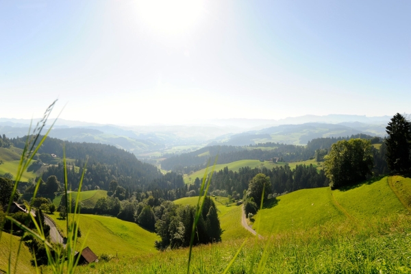 Alpenpanoramaweg Blasenfluh